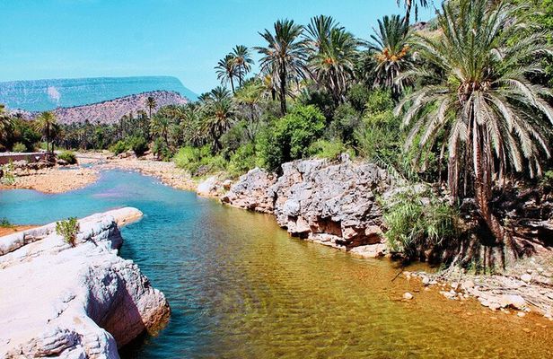 Private Guided Tour to Paradise Valley and Taghazout village
