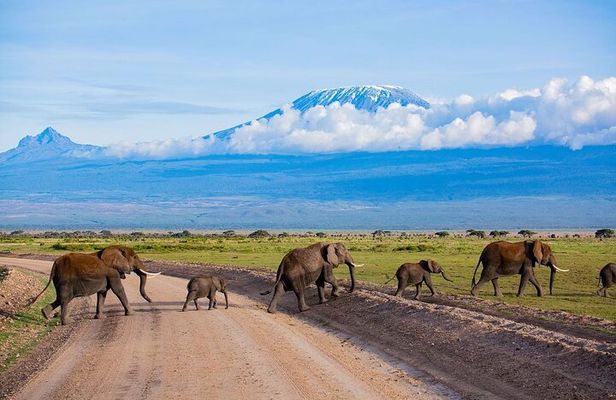 2 Nights 3 Days Amboseli Safari Experience
