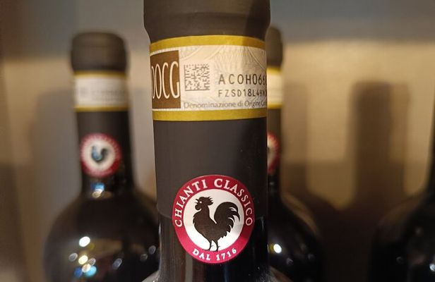 Chianti Classico Wine Tour and San Gimignano Visit Half Day