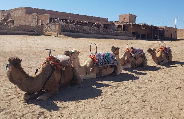 Private Excursion in the Agafay Desert