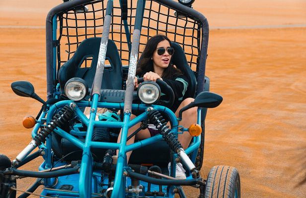 Tour the Paracas National Reserve in a MiniBuggy