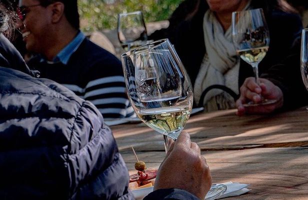 Private Vineyard and Wine Testing Tour From Guanajuato