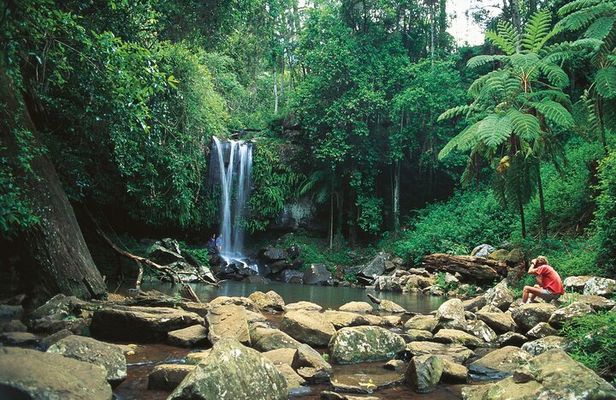 Mount Tamborine Hop on Hop off Bus from Brisbane