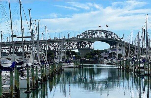 Auckland Best Top 5 Spots Half day Tour