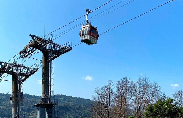 Pinglin Tea Culture & Maokong Day Tour from Taipei