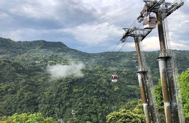 Pinglin Tea Culture & Maokong Day Tour from Taipei