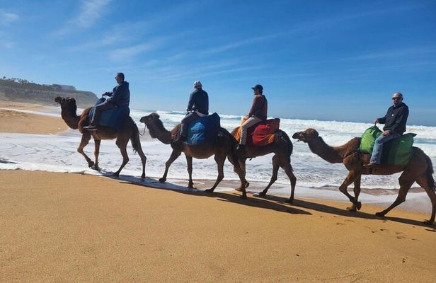  Luxury Tangier private Day Tour from Tarifa Spain All inclusive 