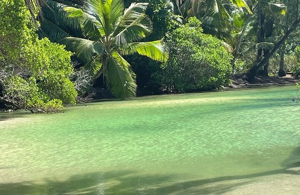 5 Hour Private Customize Tour of Mahe, Seychelles