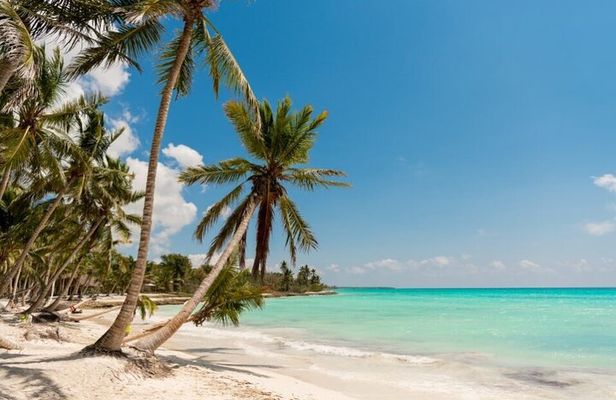 Saona full day with Food and drinks