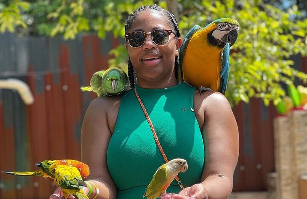 Bamboo Rafting Limestone Massage, Exotic bird and Herb Farm Tour