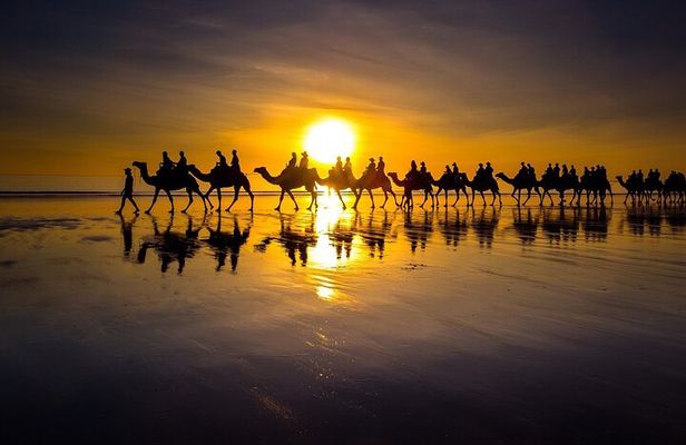 Sunset Camel Ride on Achakkar Beach