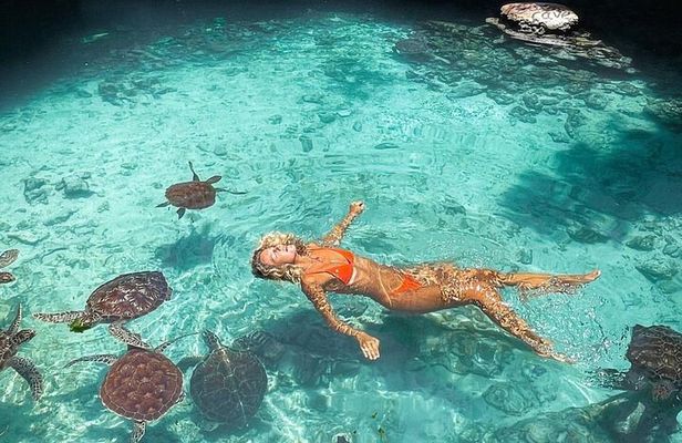 Salaam Aquarium Mtende Beach The Rock Restaurant Kae funk Sunset