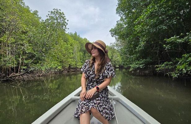 5 Hours Mangrove Boat Tour in Langkawi