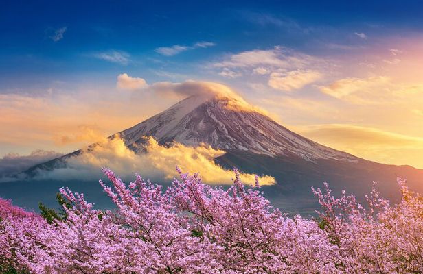 Mt Fuji Private Day Trip from Tokyo with English speaking driver