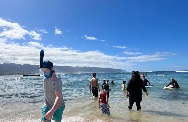Circle Island Tour