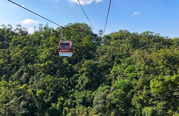 Private Maokong Gondola & Shiding Handmade Noodle DIY Tour