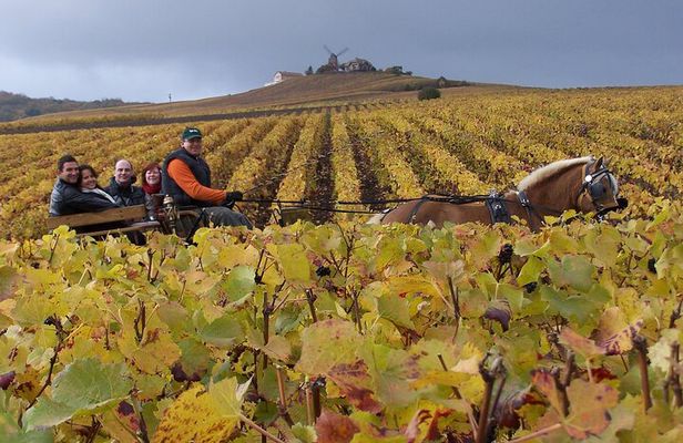 Full Day All-inclusive Tour in Champagne from Paris in a Minivan