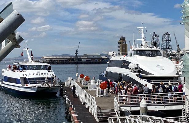 Half Day Robben Island Tour with Customizable Options