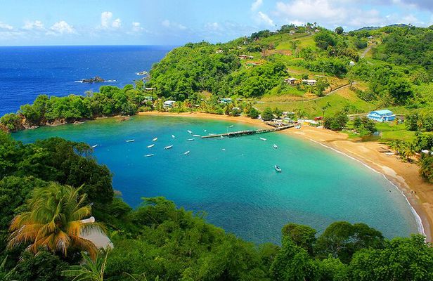 Little Tobago Glass Bottom Boat Tour