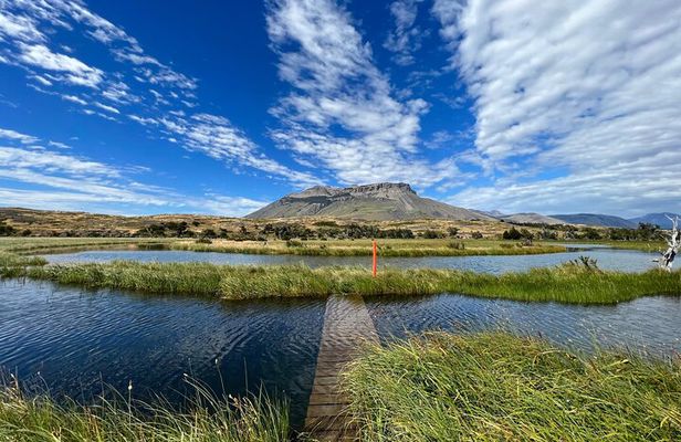 Private Bird Watching Experience in Cerro Castillo