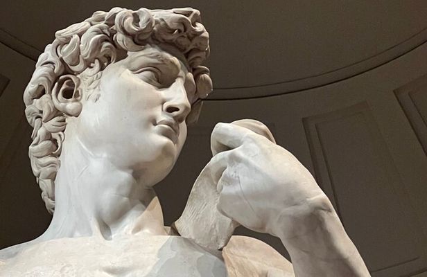 Florence Guided Tour Accademia, Dome climb and Cathedral Museum