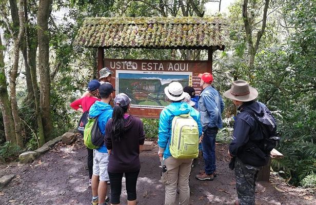 Explore Biodiversity in the Chicaque Cloud Forest Nature Reserve