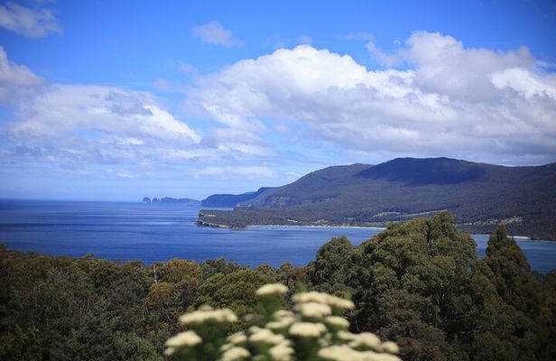 Tasman Peninsula Small-Group Eco Tour from Hobart