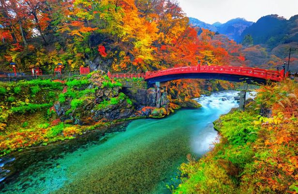 Nikko Full Day Private Tour with English-Speaking driver