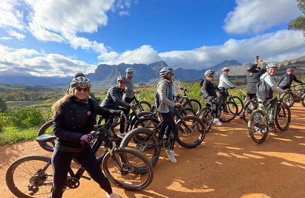 E-Bike Wine Tour Stellenbosch Countryside (Half Day)