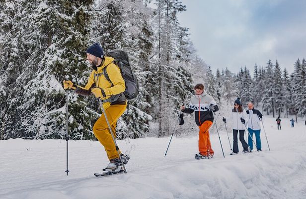 Snowshoe tour in Winter Wonderland - Oslo