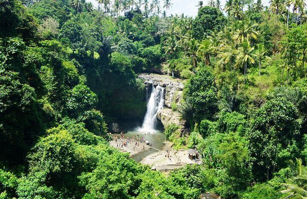 Full Day Private Tour to Ubud Waterfall and Tanah Lot Sunset