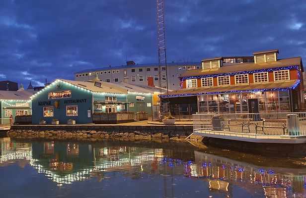 Private Reykjavik City Tour