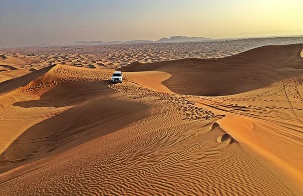 Premium Camp Red Dune Desert Safari Camel Ride and Sandboarding