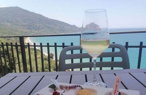 Oil-tasting experience in the area of Cefalu