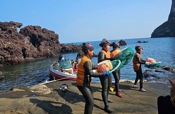 Jeju Private Day Tour- Seongsan Ilchulbong & Haenyeo performance