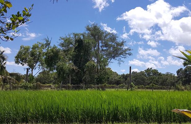 Best Private Tour Cu Chi Tunnels and Mekong Delta Full Day