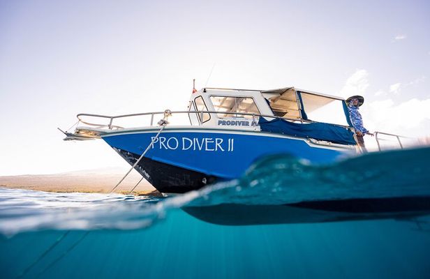 2-Tank Dive Featuring the Molokini Crater