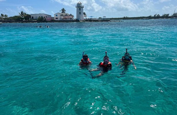 Catamaran Reef Snorkel & Turtle Adventure