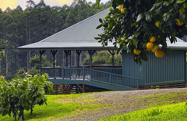 Craft Chocolate Tasting and Farm Experience on the Big Island