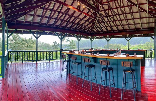 Big Island: Craft Chocolate Tasting and Farm Tour in Hilo