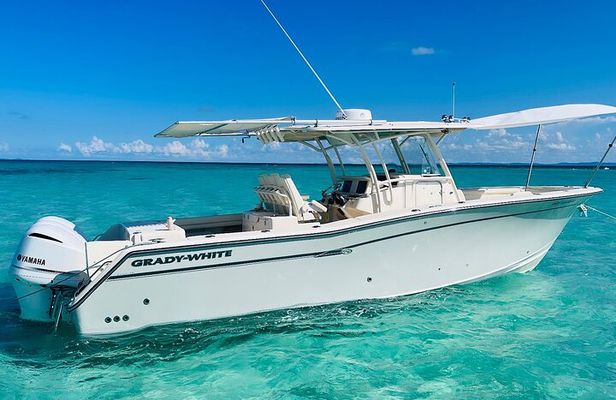 Private All-Inclusive Boat Charter to Icacos or Palomino island