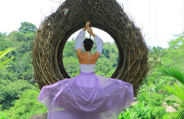 Best of Ubud Village Tour with Jungle Swing - Most Instagram Site