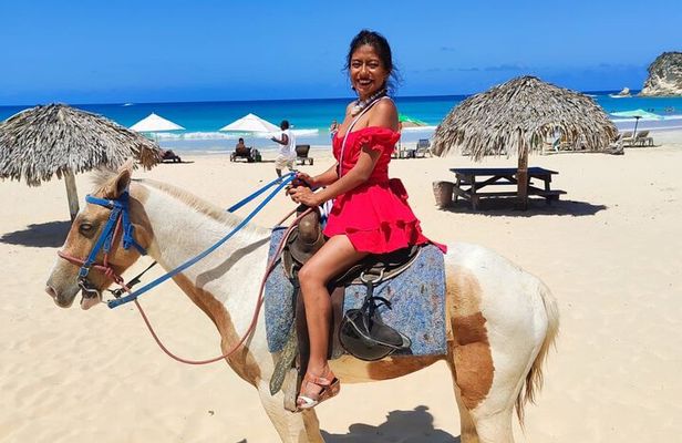 Punta Cana Horse Riding for Beaches in Field