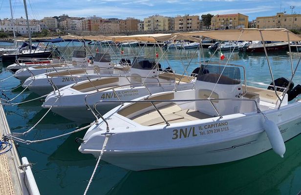 4 Hours Private Guided Boat Tour in Vieste