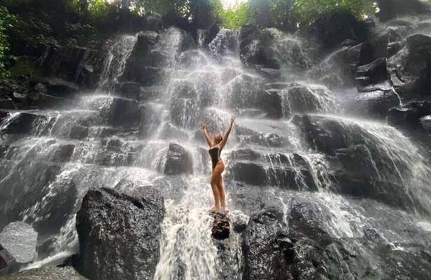 Best of Ubud Waterfalls Tour, Monkey Forest and Rice Terrace