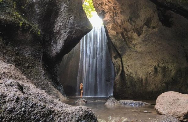 Bali: Waterfall Tour and Ubud Monkey Forest Private Day Trip