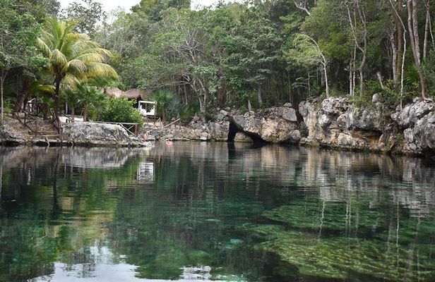 Half Day Cenotes Tour