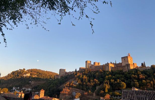 Private Tour Albayzin and City Center (Entrance fees included)