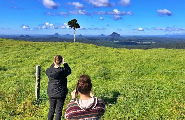 Sunshine Coast Hinterland Highlights: Discover Maleny & Montville