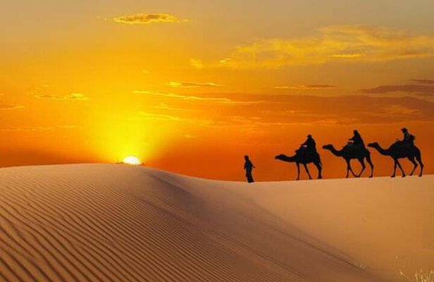 Dubai Morning Desert Safari